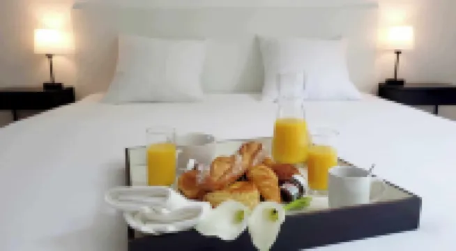 Aparthotel SPA: jacuzzi, sauna, terrace, balcony, hyper center, Place Drouet D'Erlon