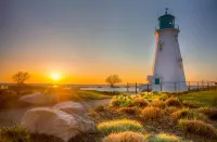 Diamond in Wine Country