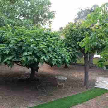 TRANQUILITY IN FRONT OF THE MEDITERRANEAN. BENICASIM Hotel Exterior