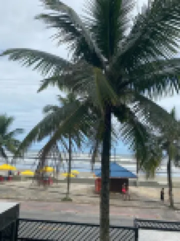 Incrível Apartamento pé na Área, Localizado no Centro de Mongaguá