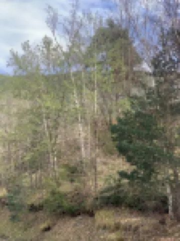 APARTMENT IN ORDINO 3 MN FROM THE VILLAGE CENTER - HUT 8270 Hotels in Ordino