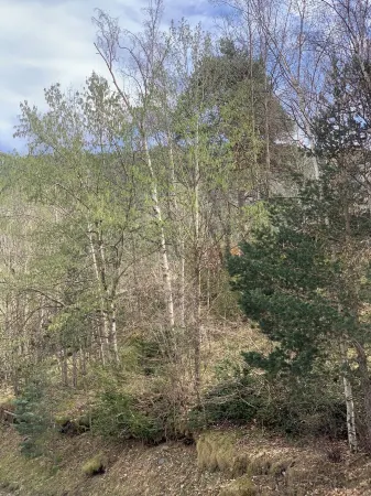 APARTMENT IN ORDINO 3 MN FROM THE VILLAGE CENTER - HUT 8270 Отели рядом с достопримечательностью «Museu d'Areny i Plandolit & Museo Postal de Andorra»