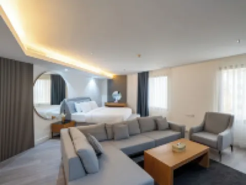 Plaza Athenee Hotel Hotels in Bneid Al Qar