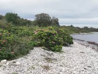 5 person holiday home in Aabenraa-By Traum Hotels in Aabenraa