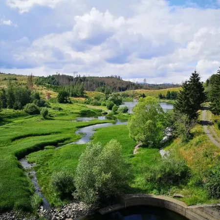 Doppelhaushälfte in Hasselfelde