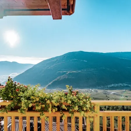 Nestl Niederhaushof Comfortable holiday residence