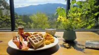 Laurel Valley Mountain Retreat Hotels in Townsend