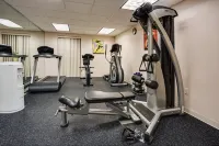 Holiday Inn Express & Suites TAMPA NORTHWEST-OLDSMAR by IHG - Gym