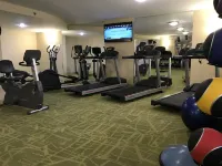 Holiday Inn & Suites CHICAGO-CAROL STREAM (WHEATON) by IHG - Gym