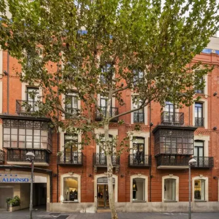 Silken Alfonso X