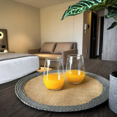 AMERICA APARTMENTS