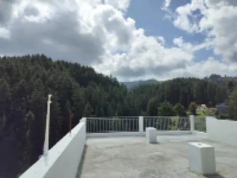 Nishtha Homestay Hotels in Lohaghat