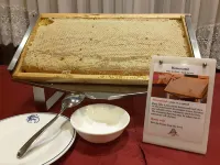 Hotel Everest Hotels in Trento