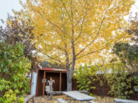 Pinedale Cozy Cabins Hotels in Pinedale