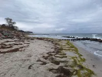 Cozy Retreat with Sauna - By Traum Ferienwohnungen Hotels in Stege