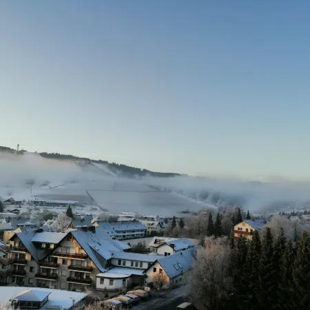 Hotel Hochsauerland 2010