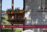 Schwarzwald Lodge Inselklause - 3-stjärniga