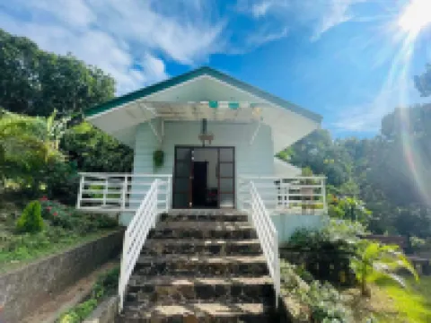 1193 Pinehall Farm Rizal
