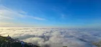 알 키아르 디 루나 - 푸로레