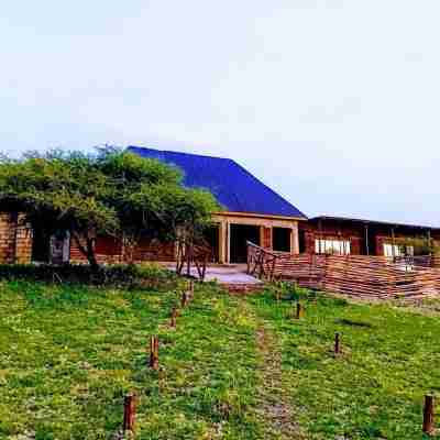 ANAPA LODGE & CAMP Hotel Exterior