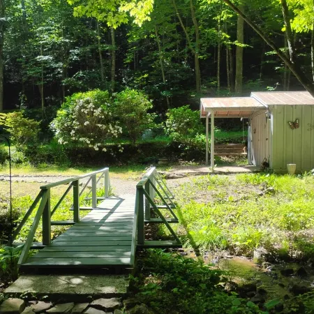 A Secluded Cabin on a Babbling Brook