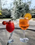 Hotel Alexander Park Chambery - Baarit