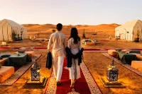 Majestic Luxury Tented - Bed and Breakfasts