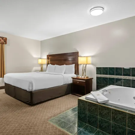 Comfort Inn & Suites Airport South