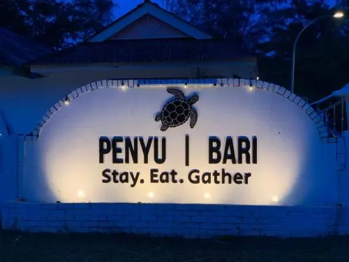 Penyu Bari - Strand