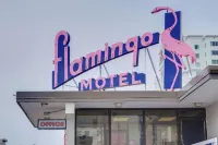 Flamingo Motel - Motels