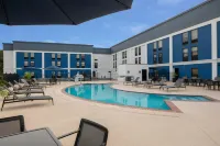 Four Points by Sheraton Alexandria - Swimmingpools