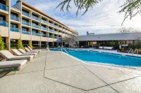 Sheraton Chapel Hill Hotel - Pools