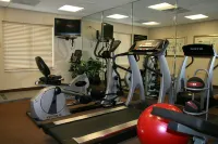 Hampton Inn Fort Stockton - Træningscentre