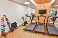 Maringá Airport Hotel - salle de sport