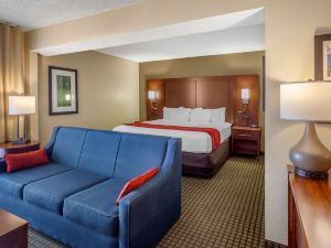 Comfort Inn & Suites Rochelle - DeKalb