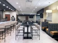 麥迪遜市中心希爾頓逸林飯店 - 酒吧