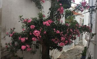 "maison de Ville A Skopelos"