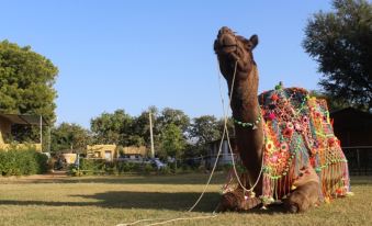 The Narayan Resort