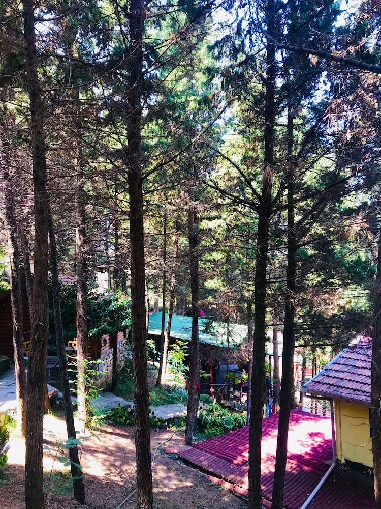 Ağva Orman Evleri Forest Lodge (Agva Orman Evleri Forest Lodge)