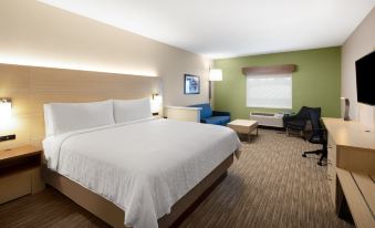 Holiday Inn Express & Suites FT Myers Beach-Sanibel Gateway