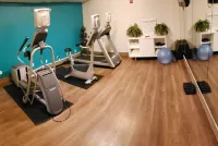 Holiday Inn Express OSAGE BCH - LAKE OF THE OZARKS by IHG - Træningscentre