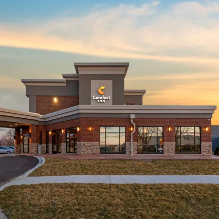 Comfort Inn Detroit - Troy