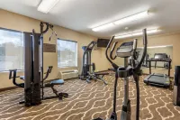 Comfort Inn Apalachin / Binghamton W Route 17 - palestra