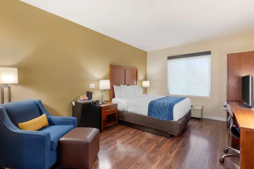 Comfort Inn & Suites Near Ontario Airport Hotels in Ontario