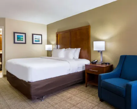 Comfort Inn Acworth - Kennesaw Northwest Hotels in Acworth