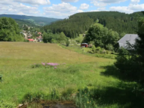 Blechnerhof Hotels in Feldberg