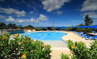 a large , circular swimming pool surrounded by lush greenery and blue skies , with several lounge chairs placed around it at Beach View Hotel