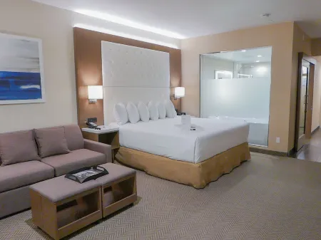 Wyndham Anaheim