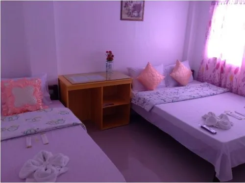 Diamond Lodge Hotels in Coron