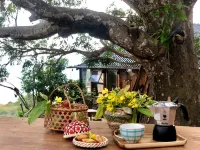 Mango House - Seaview - Homestay. Hôtels à : 